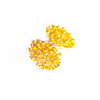 Floral Earrings