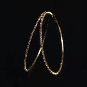 Large Hoop Earrings