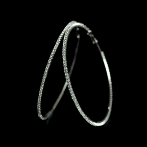 Large Hoop Earrings