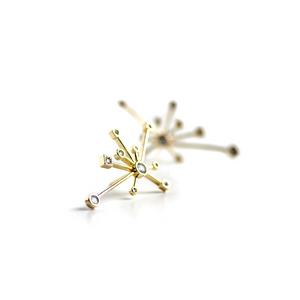 Star Constellation Earrings