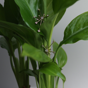 Star Constellation Earrings
